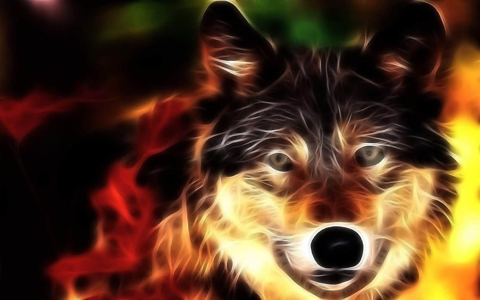Lupo fiammeggiante effetto fuoco, 1600x1000 900p, PC