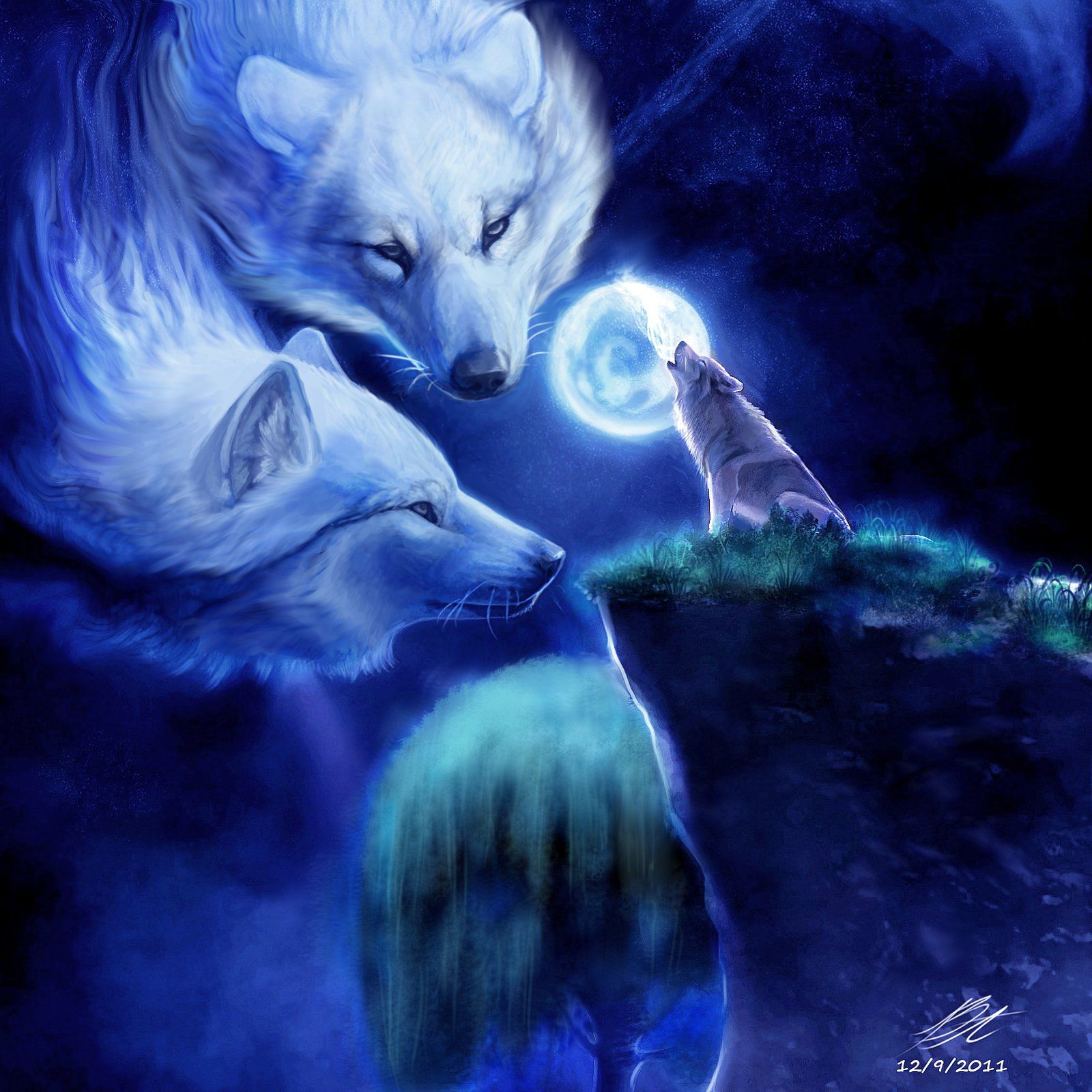 Lupi spirito anime notturni, 1600x1600 HD, Desktop