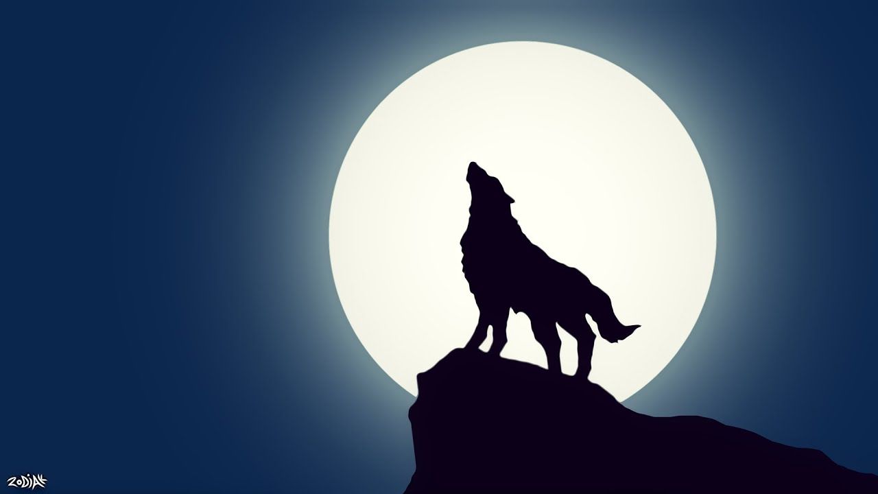 Lupo anime ulula luna, 1920x1080 1080p, PC Desktop