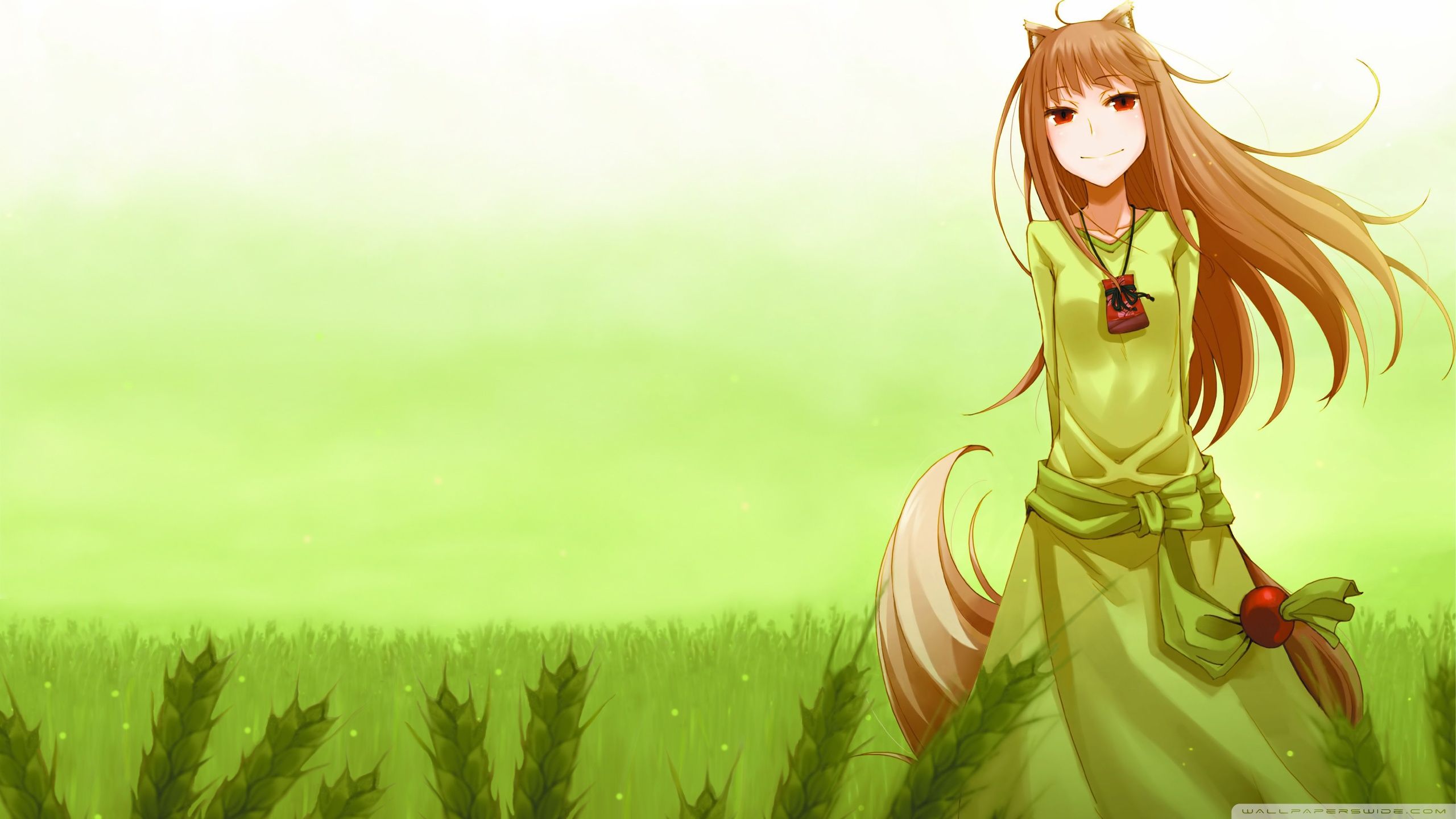 Lupo astratto verde scuro, 1920x1200 Full HD+ WUXGA, PC