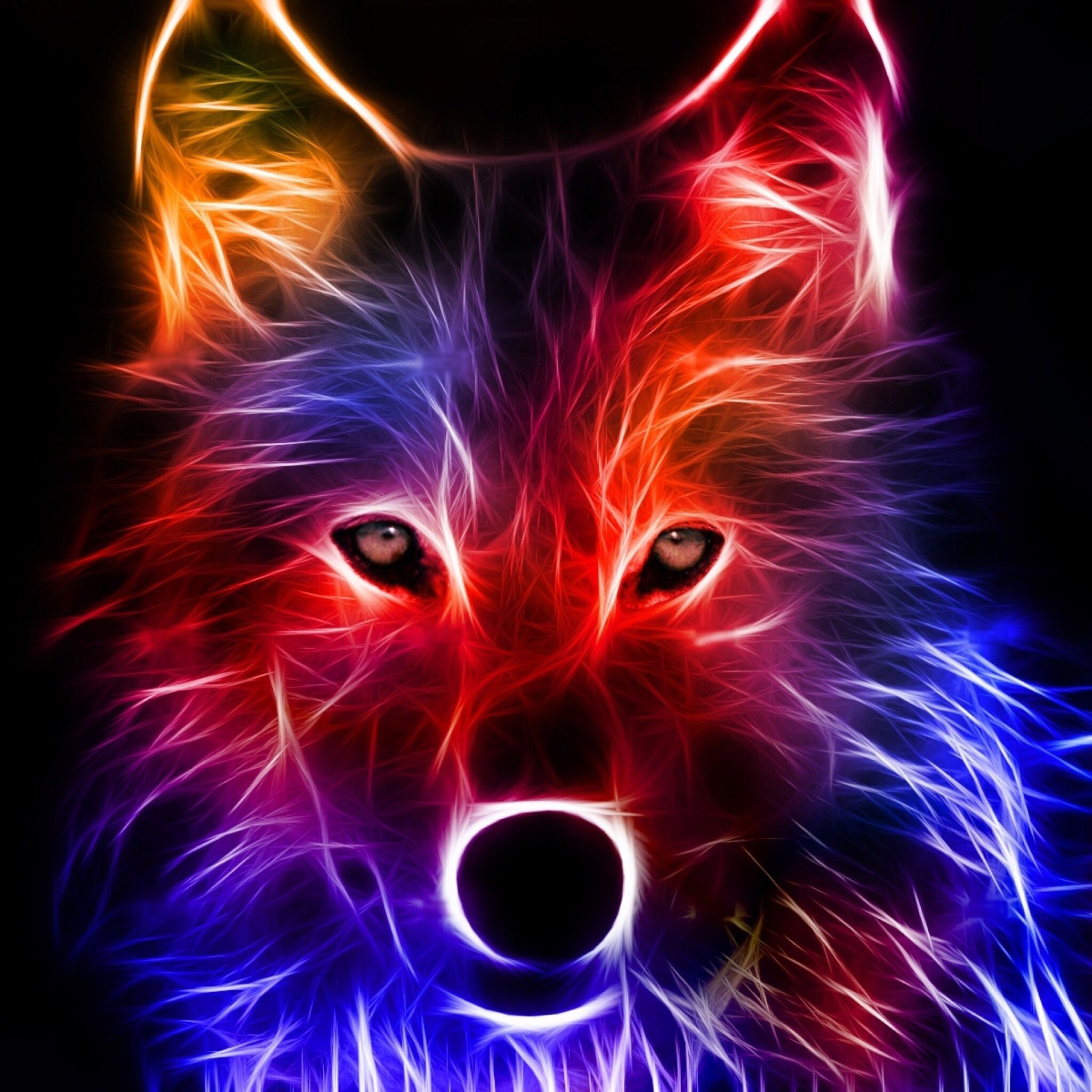 Lupo neon multicolore, 2048x2048 Hi-Res, Desktop