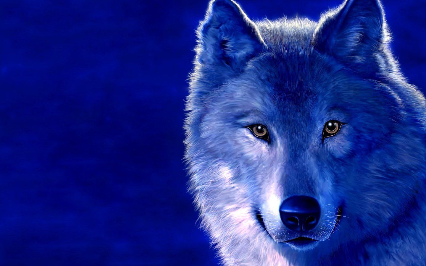 Lupo blu occhi luminosi, 1191x670 HD, PC
