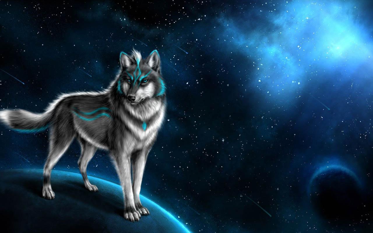 Lupo blu nello spazio, 1280x800 720p, PC
