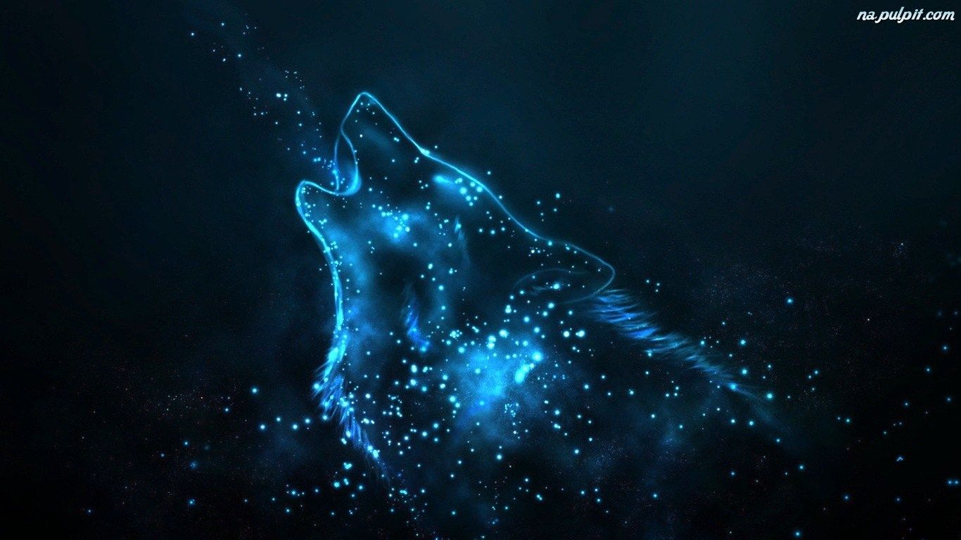 Lupo blu occhi azzurri notte, 1000x800 HD, Laptop