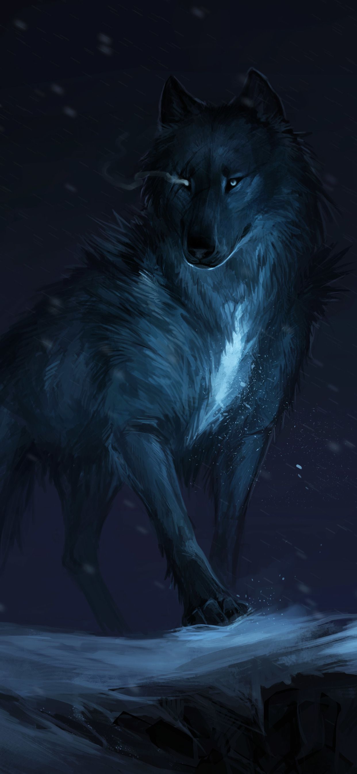 Lupo blu che ulula luna, 1280x720 HD, PC Desktop