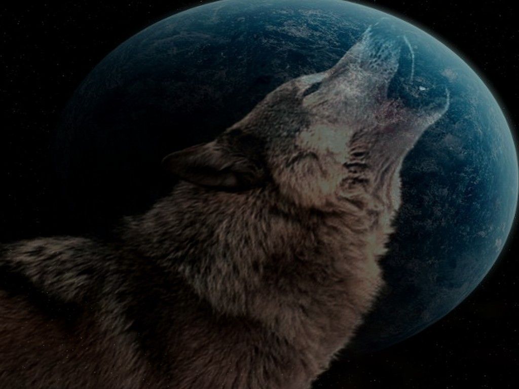 Lupo blu fiamme luna, 1920x1080 1080p, PC