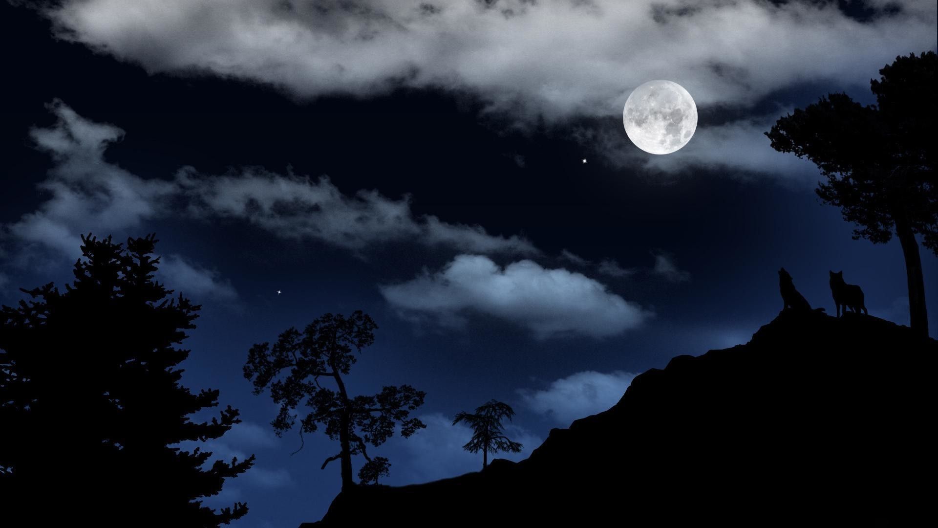 Lupo che ulula alla luna, 1920x1080 1080p, Laptop
