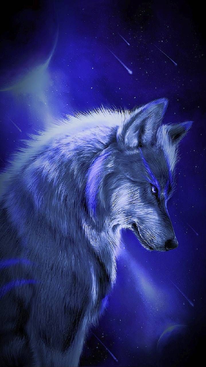 Lupo galassia notturno blu, 719x1280 Full HD Verticale, Samsung Galaxy