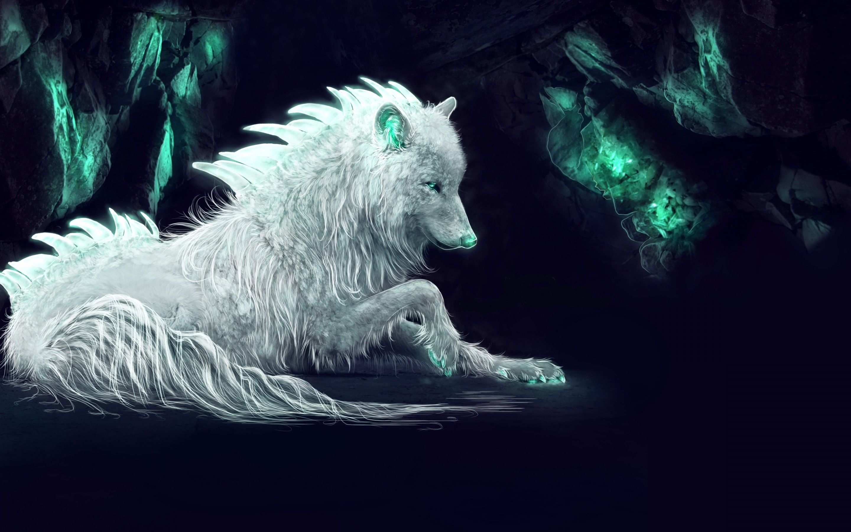 Lupo bianco e nero epico, 1920x1200 Full HD+, PC