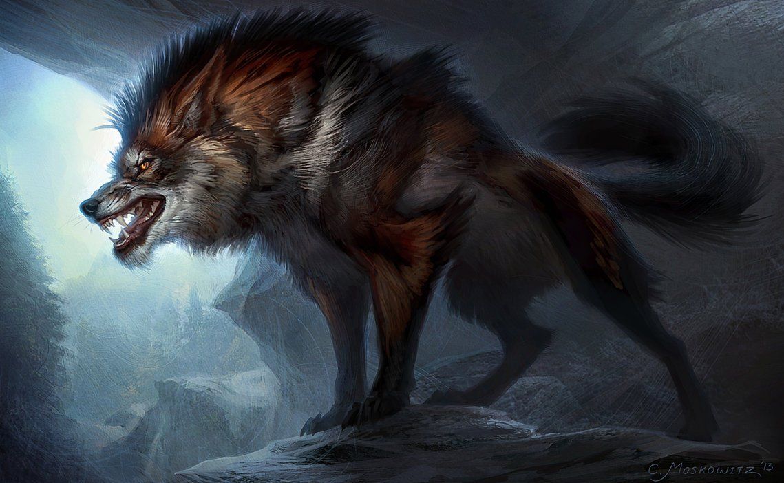 Lupo galassia rosso e blu, 1920x1080 Full HD 1080p, PC Desktop