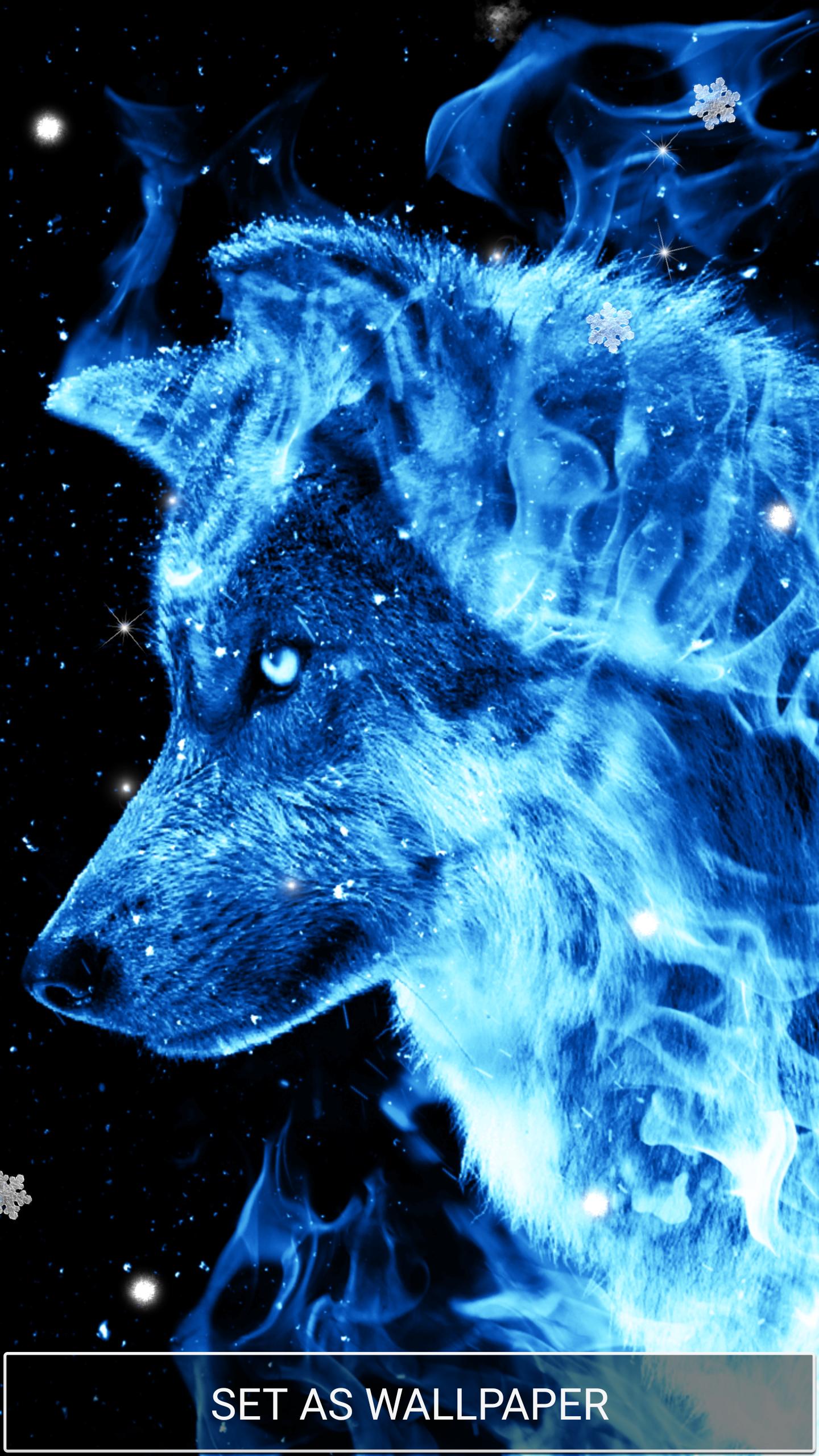 Lupo epico ringhiante roccia, 1139x702 HD, Desktop