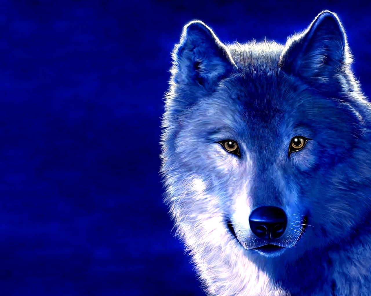 Lupi fuoco e ghiaccio combattono, 1600x900 HD, PC Desktop
