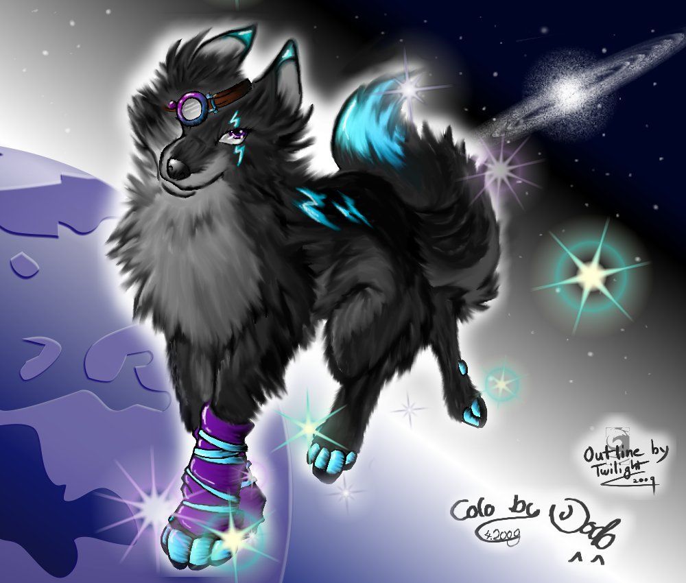 Lupo galattico anime nero, 1000x850 HD, PC