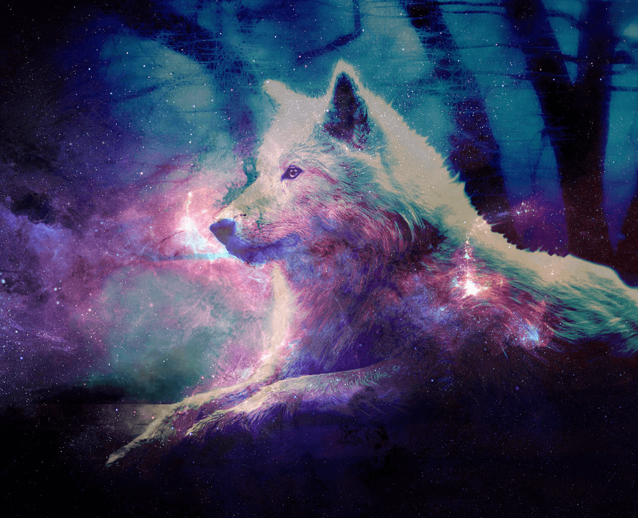 Lupo galattico con stelle, 1272x1032 HD, Desktop