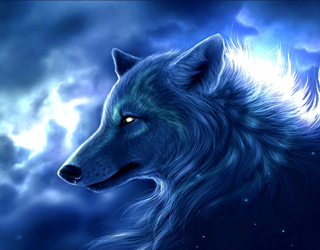 Lupo blu galattico luminoso, 1216x952 HD, Desktop