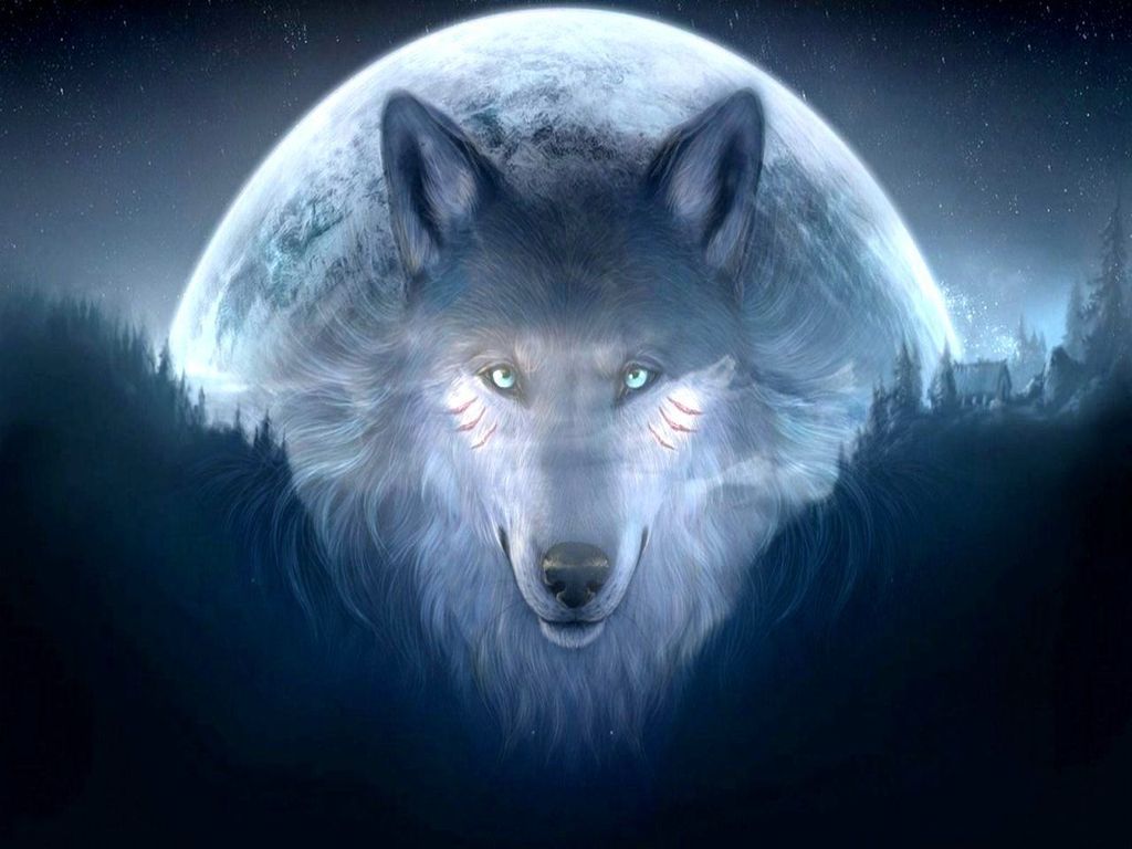 Lupo bianco con luna, 1024x768 HD, iMac