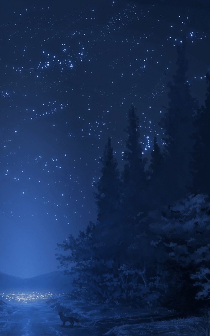 Foresta notturna con stelle, 800x1280 Verticale, OnePlus