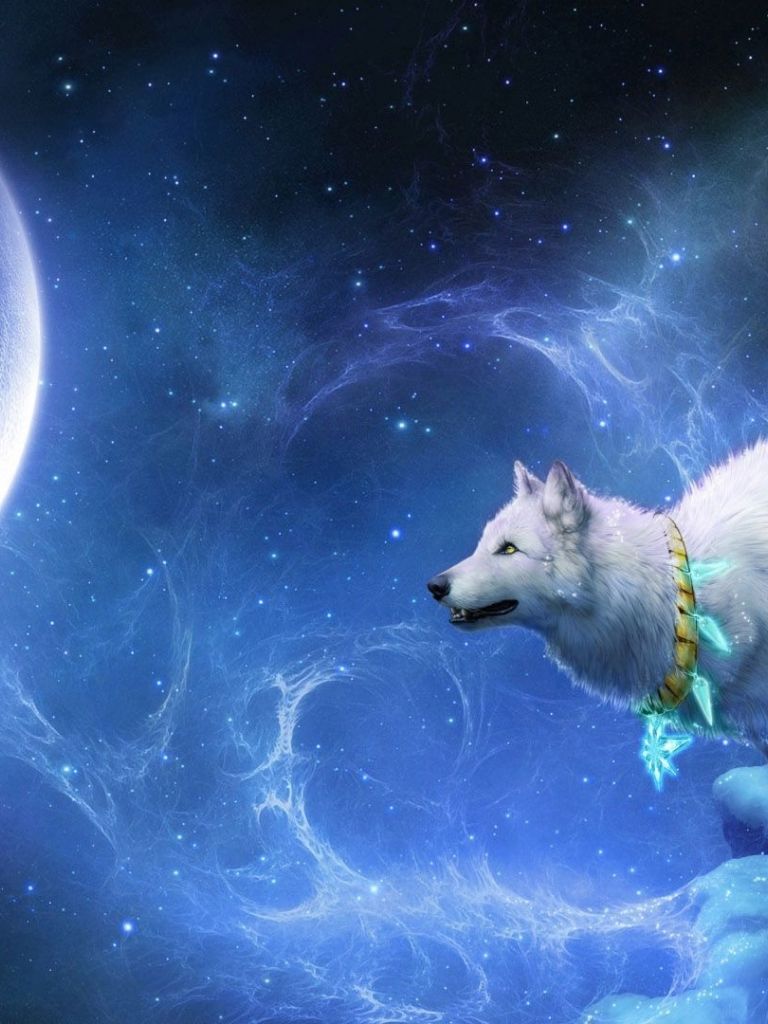 Cuccioli di lupo nella neve, 1920x1080 Full HD, Desktop