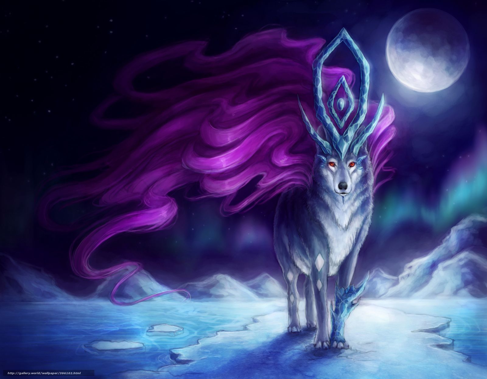 Lupo magico bianco con guerriero, 1920x1080 Full HD 1080p, Laptop