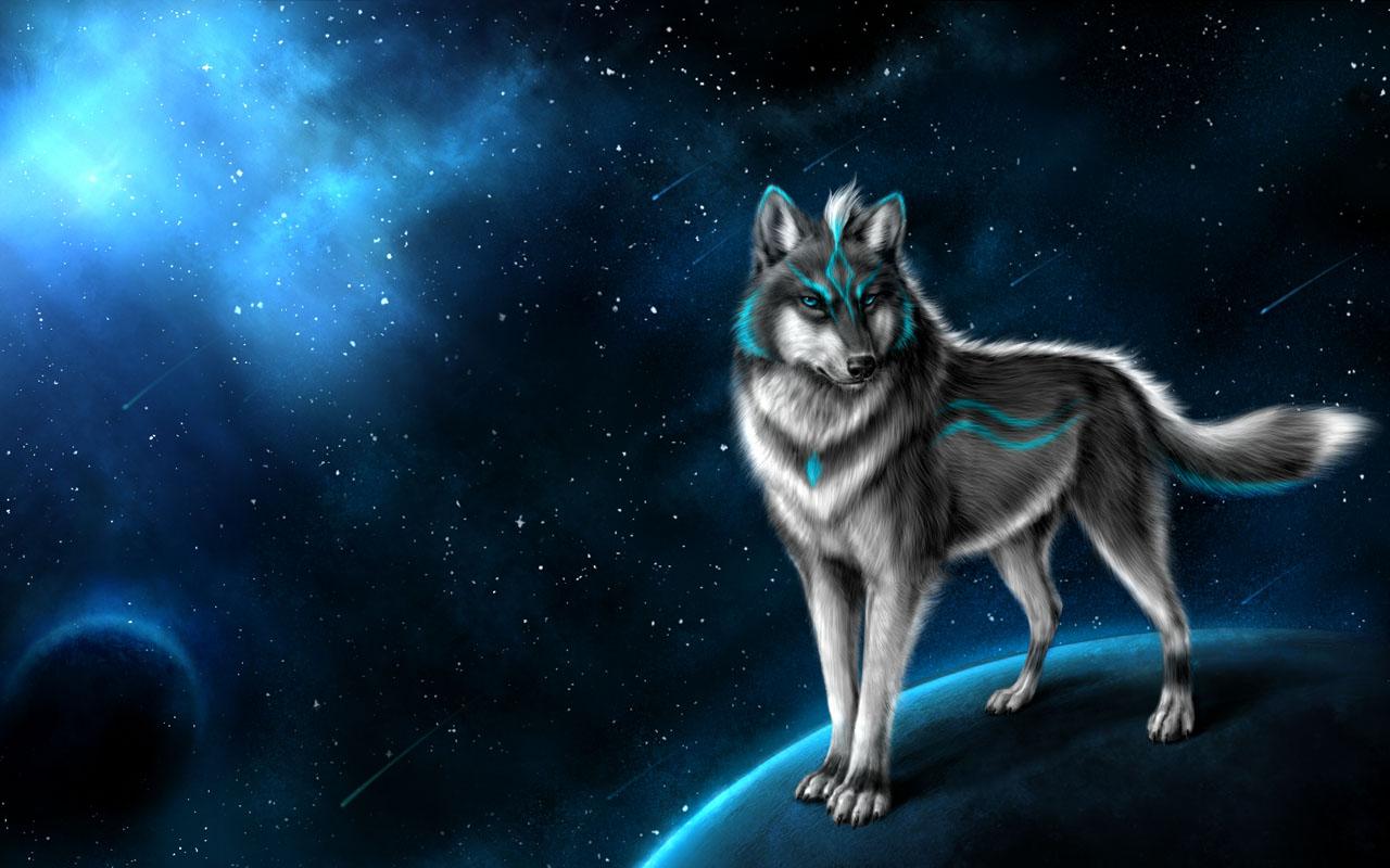 Lupo magico blu e rosso, 1191x670 HD, PC