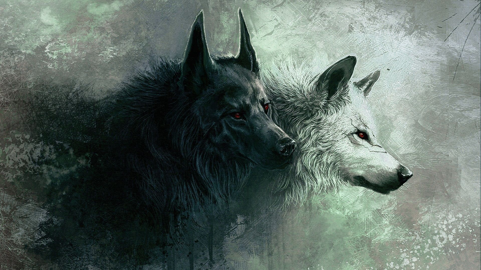 Lupo nero e bianco, 1920x1080 Full HD 1080p, PC Desktop