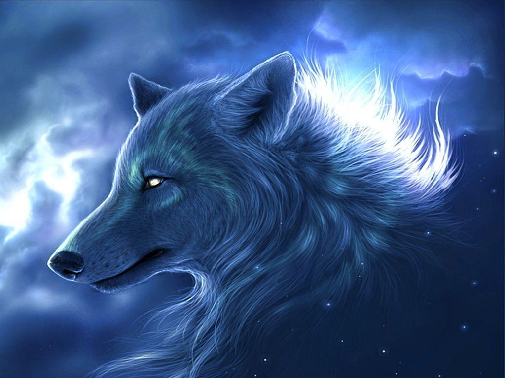 Lupo blu notturno stilizzato, 1024x768 HD, Desktop