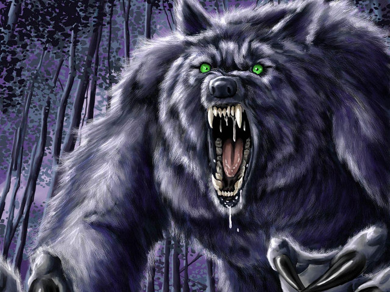 Lupo mannaro ringhiante nella foresta, 1280x960 720p, Laptop