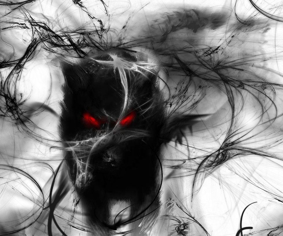 Lupo ombra occhi rossi, 979x816 HD, PC Desktop