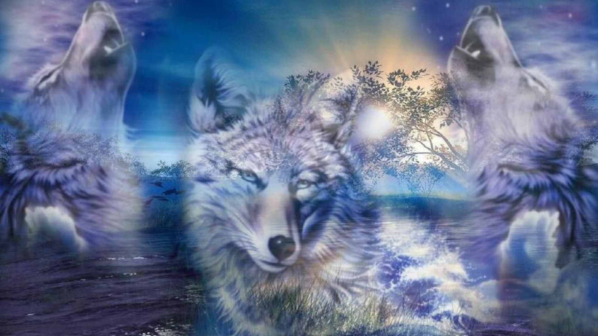Lupi ululanti sotto luna, 1920x1080 Full HD, Desktop