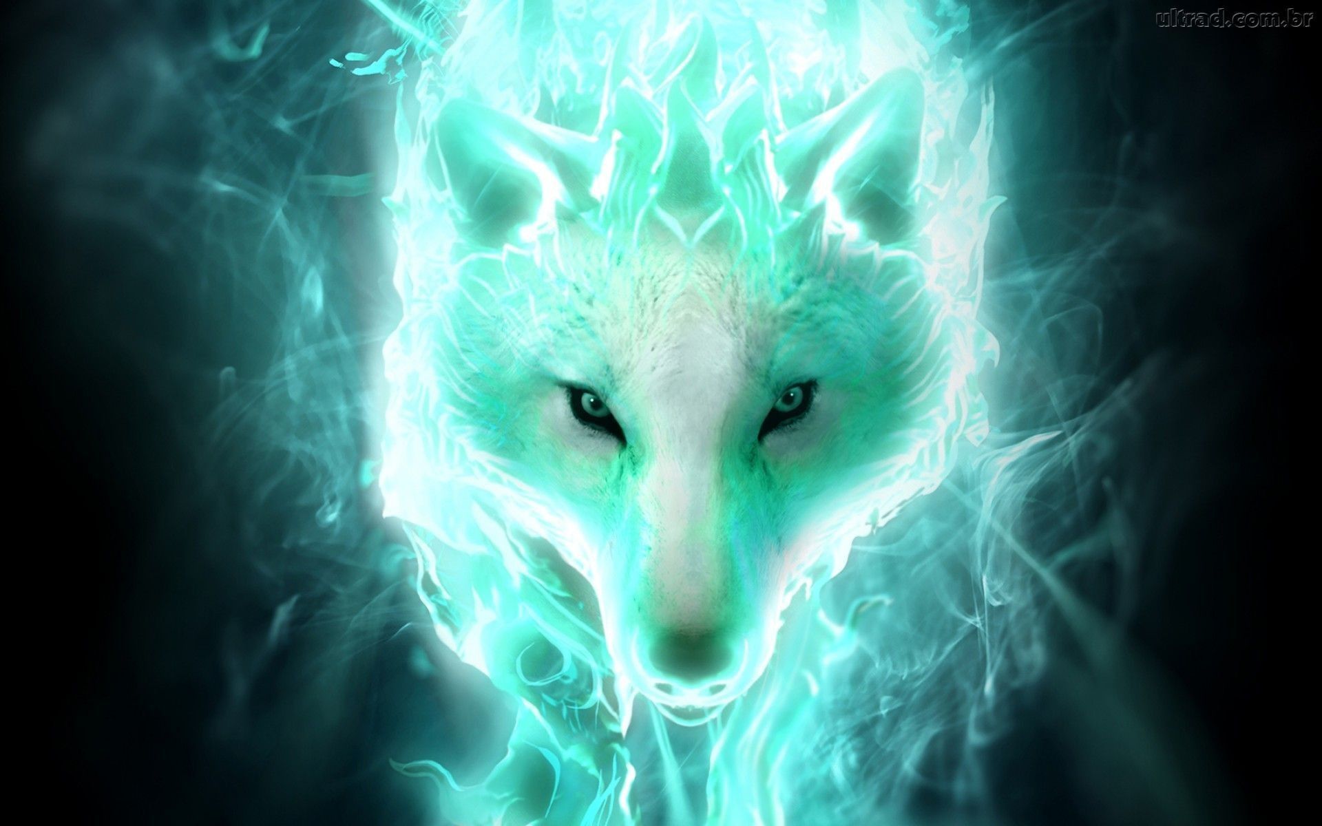 Lupo neon verde acqua, 1920x1200 Full HD+ WUXGA, Desktop