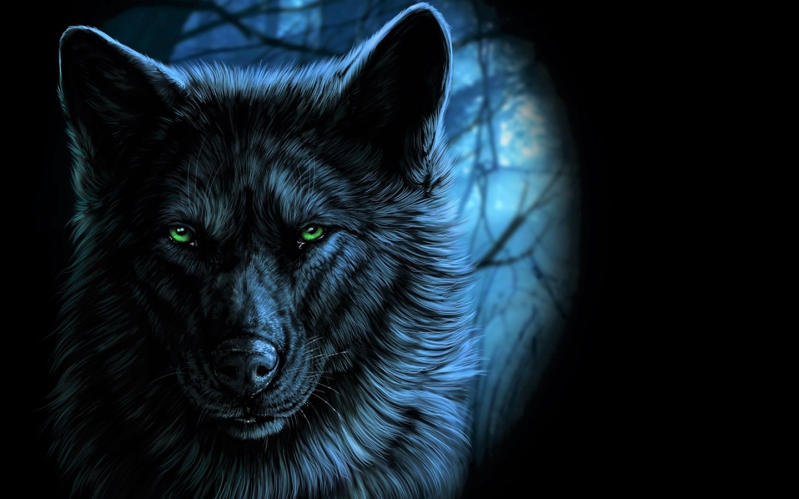 Lupi Neon, 1920x1080 Full HD, Desktop