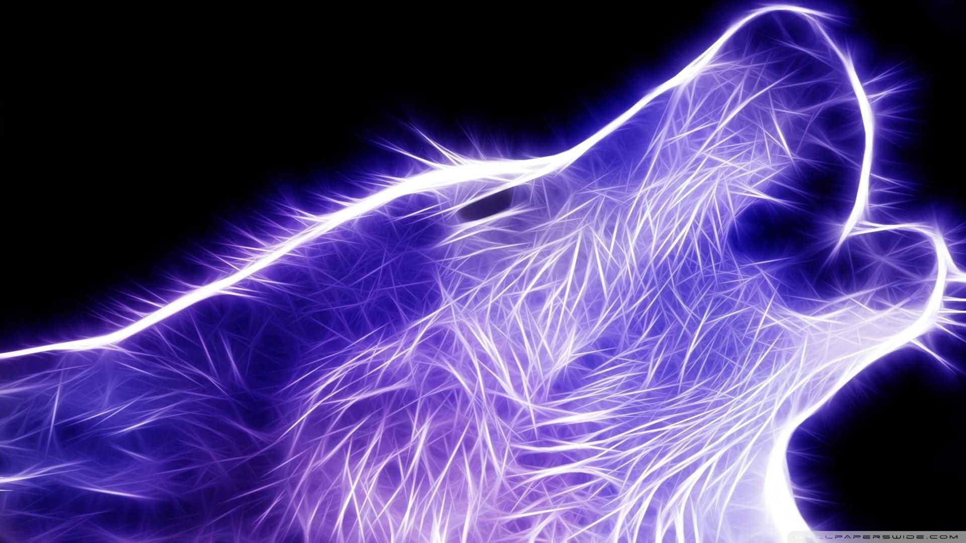 Lupo neon viola ululante, 1920x1080 Full HD, Desktop