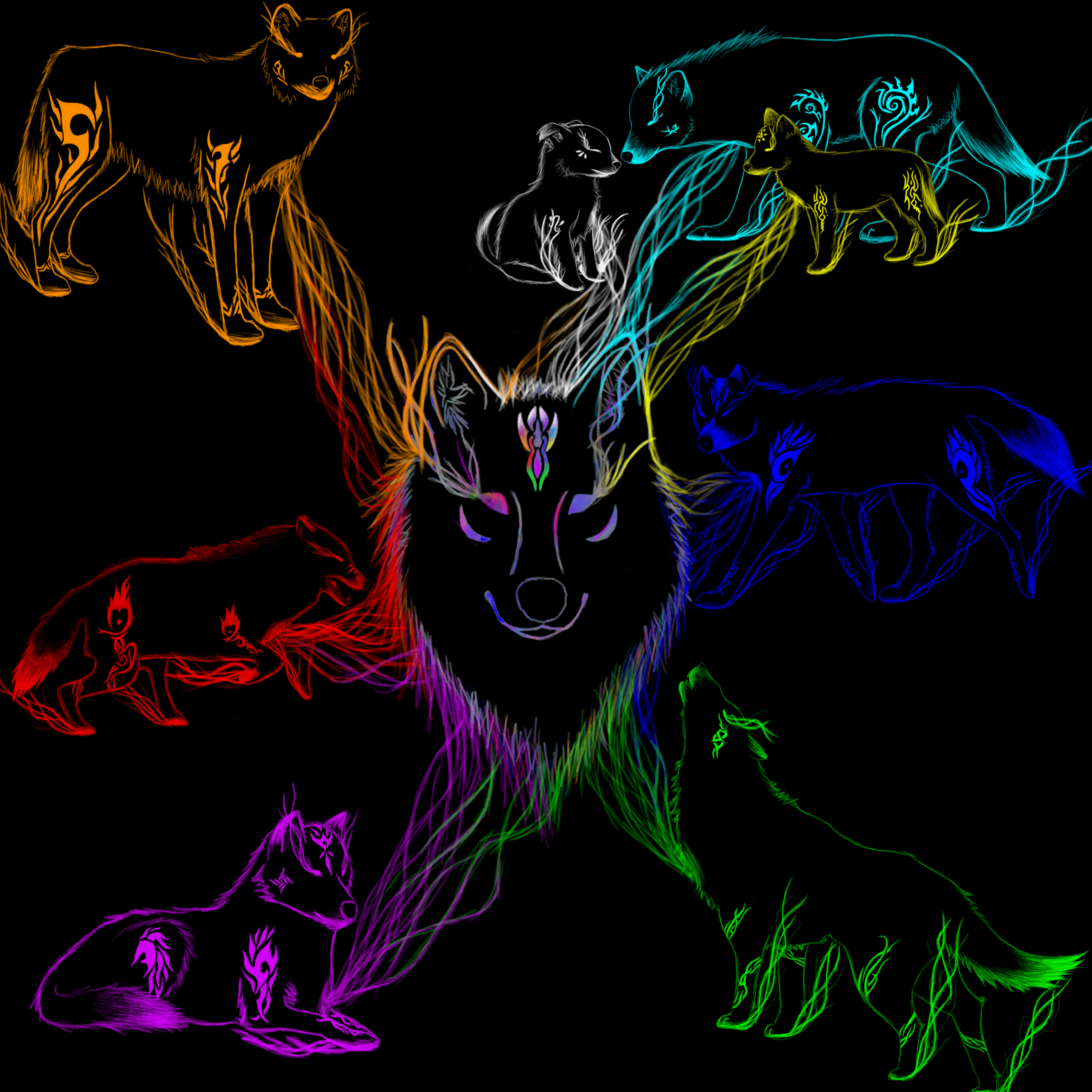 Lupi neon multicolori sfondo nero, 2400x2400 2K, Desktop
