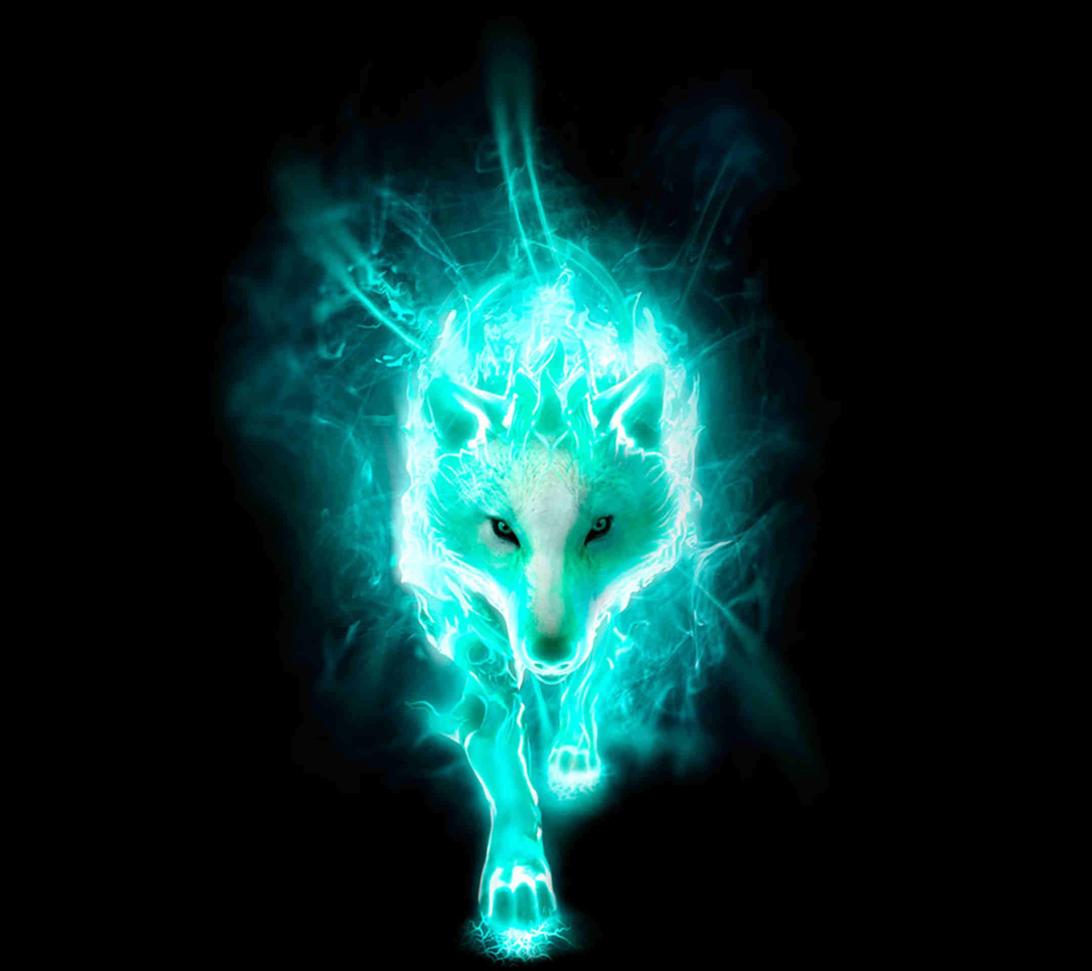 Lupo neon blu elettrico, 2160x1920 alta risoluzione, Laptop
