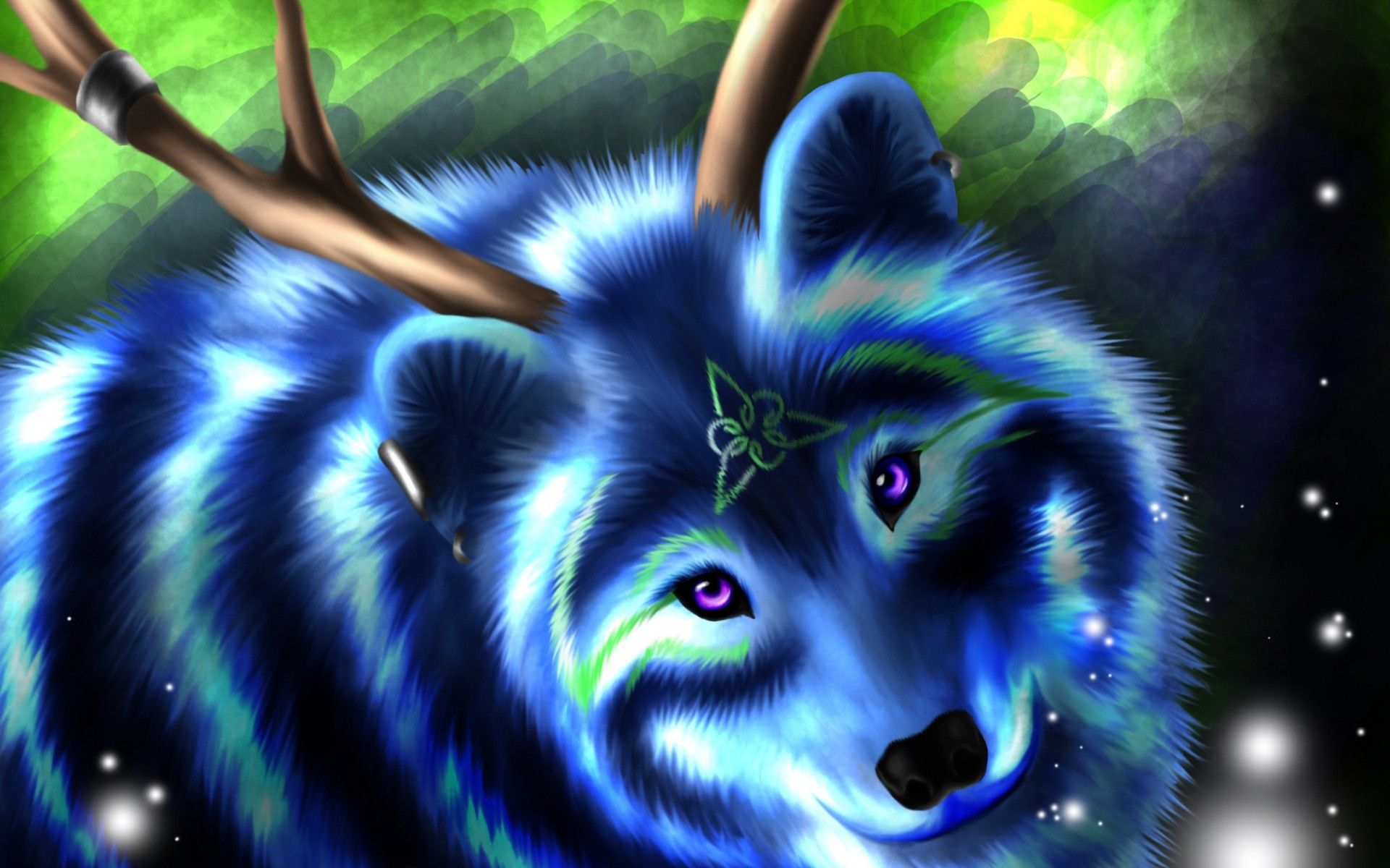 Lupo bianco occhi blu neon, 2560x1600 2K+, Desktop