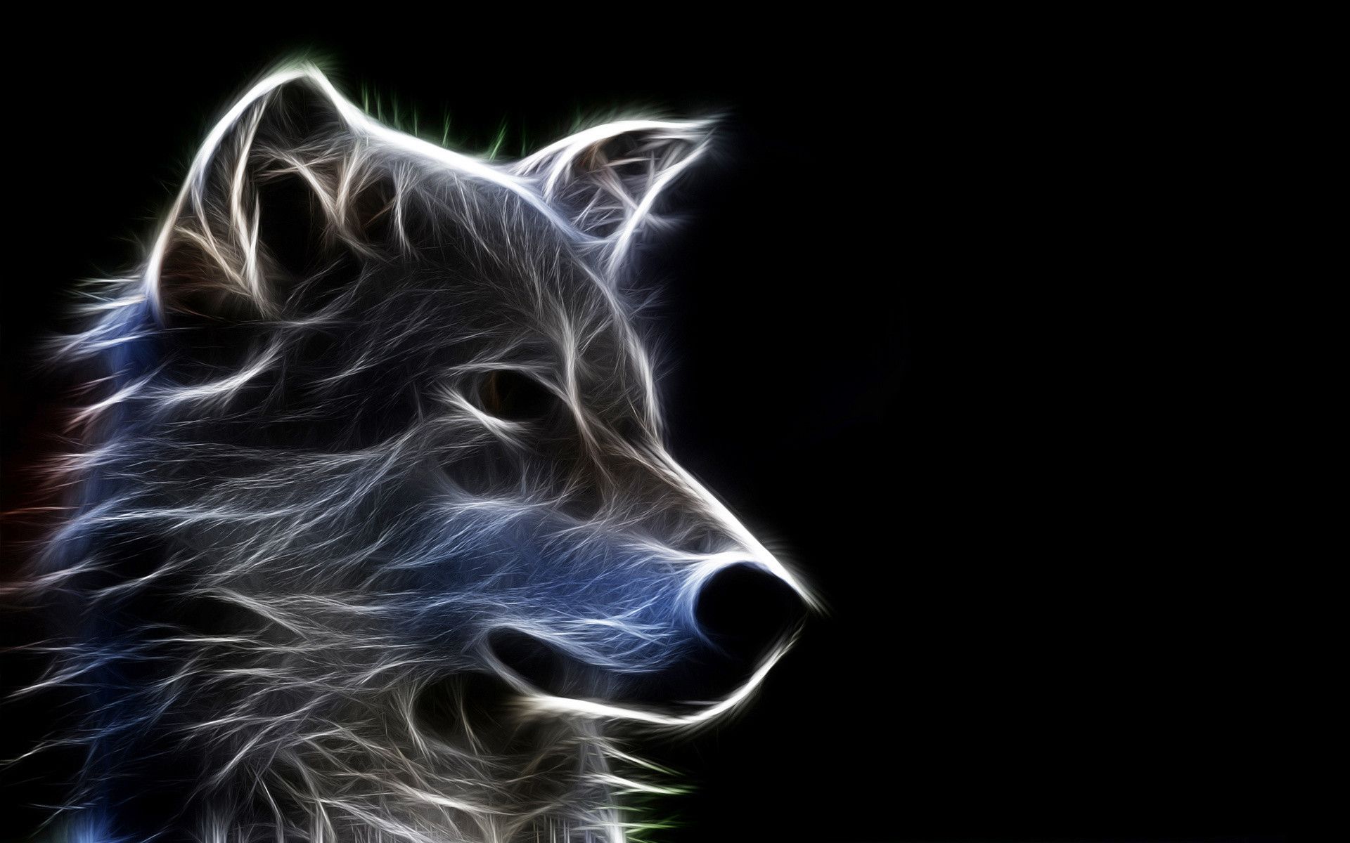 Lupo neon luminoso, 1920x1200 Full HD+ WUXGA, Desktop