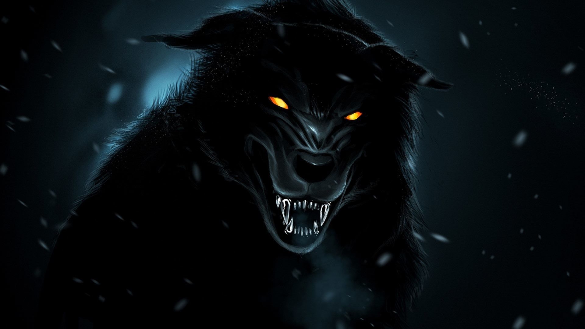 Lupo nero occhi gialli, 1920x1080 Full HD 1080p, Laptop