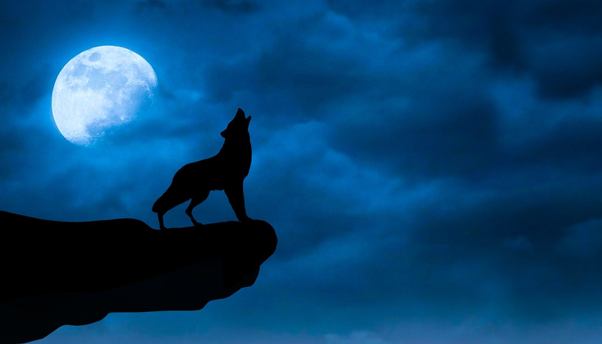Lupo nero ulula alla luna, 1920x1098 Full HD 1080p, iMac