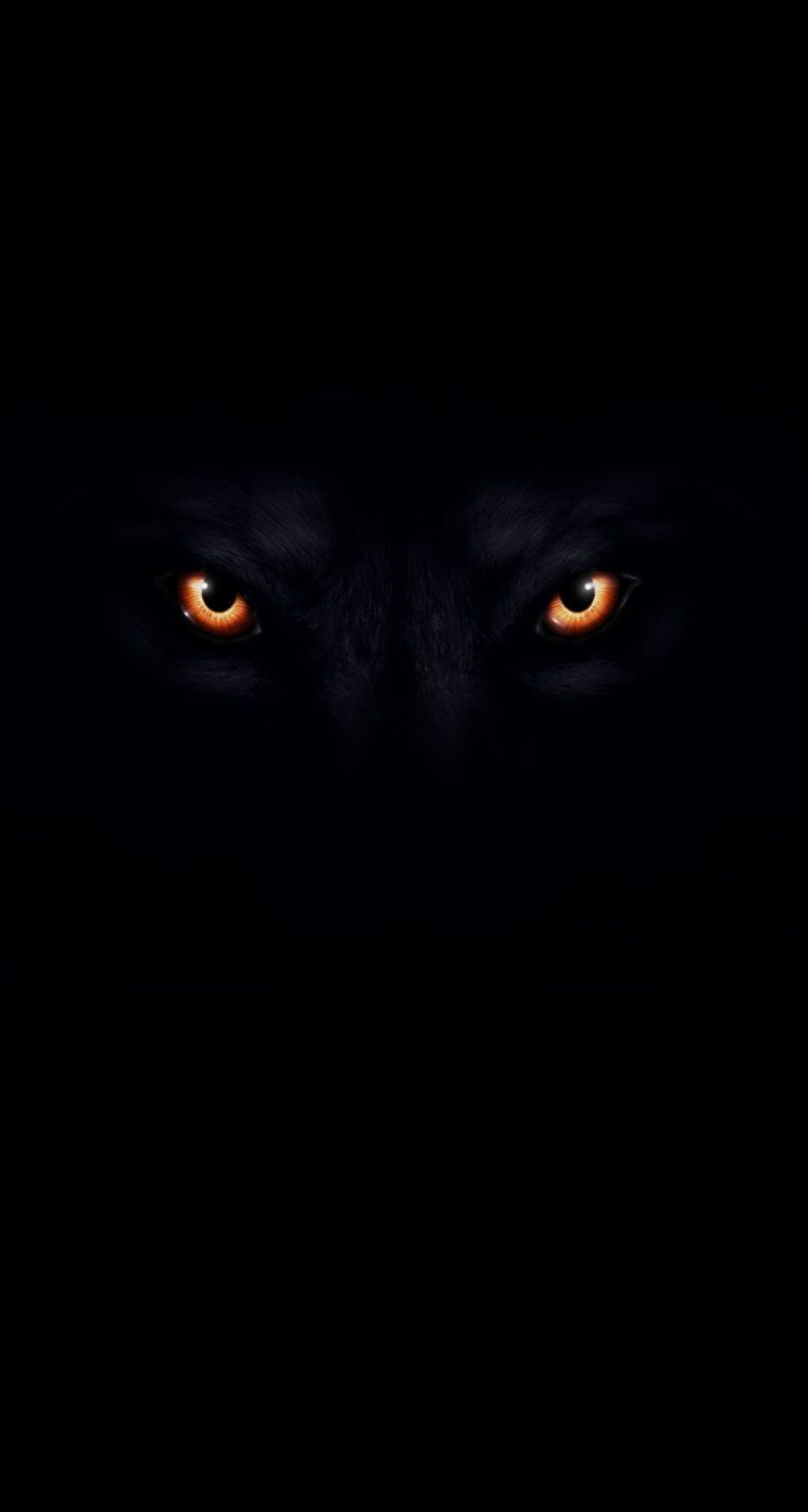 Occhi lupo nero buio, 744x1392 Full HD Verticale, iPhone