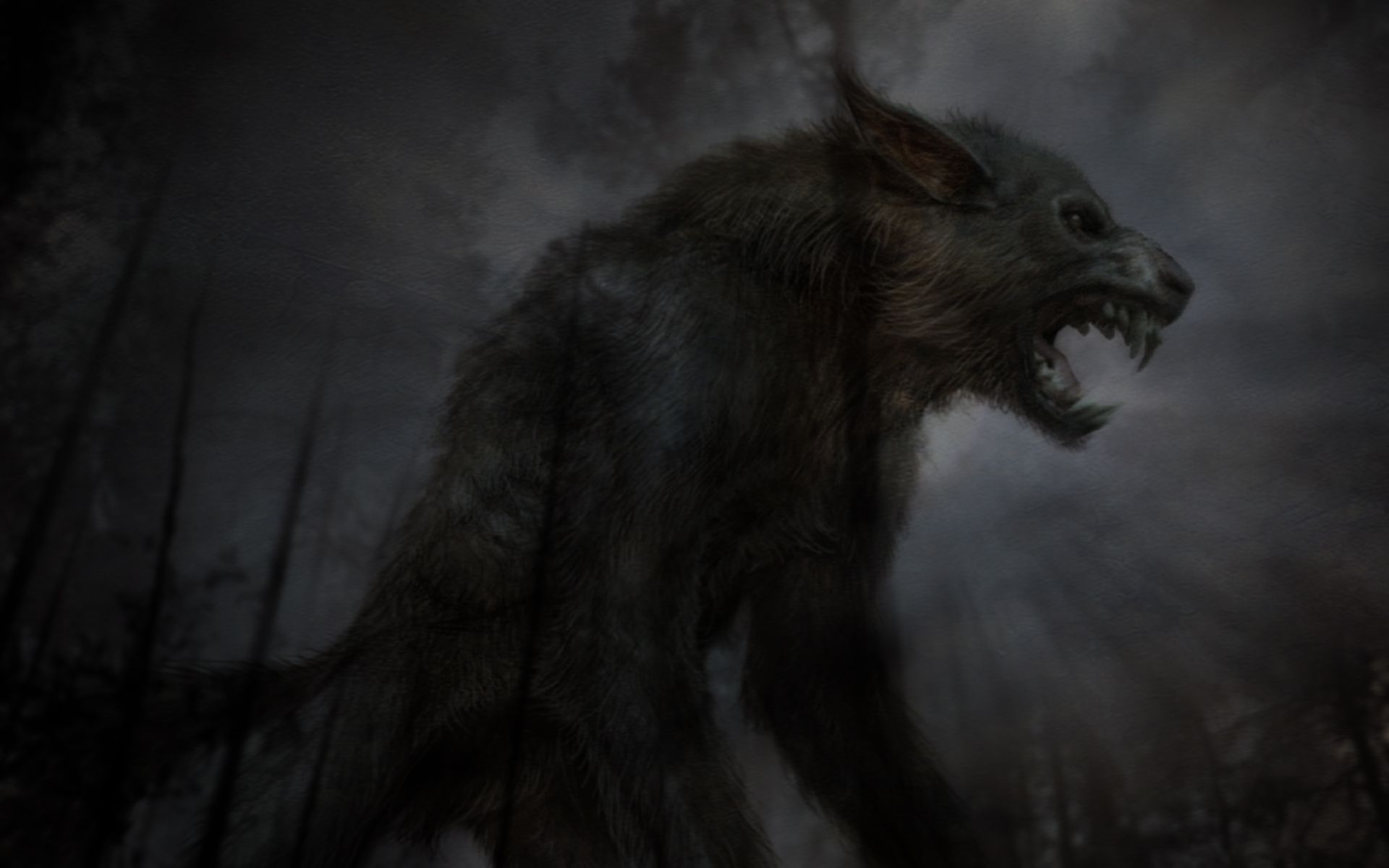 Lupo nero minaccioso foresta, 1920x1200 WUXGA, iMac