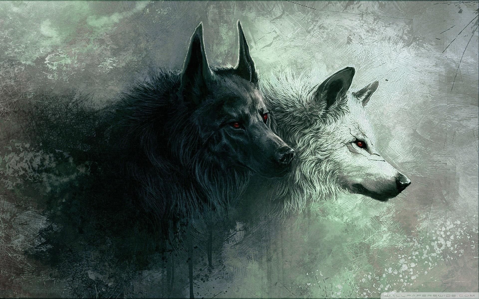 Lupo nero e bianco, 1920x1200 Full HD+ WUXGA, Desktop