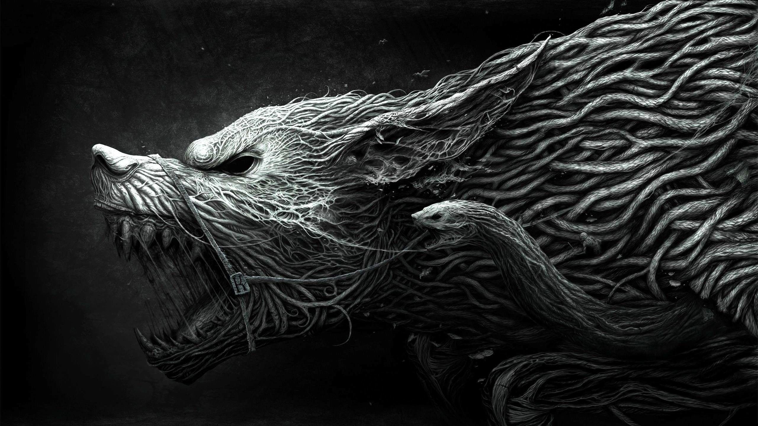Lupo nero ringhiante, 2560x1440 2K, Desktop
