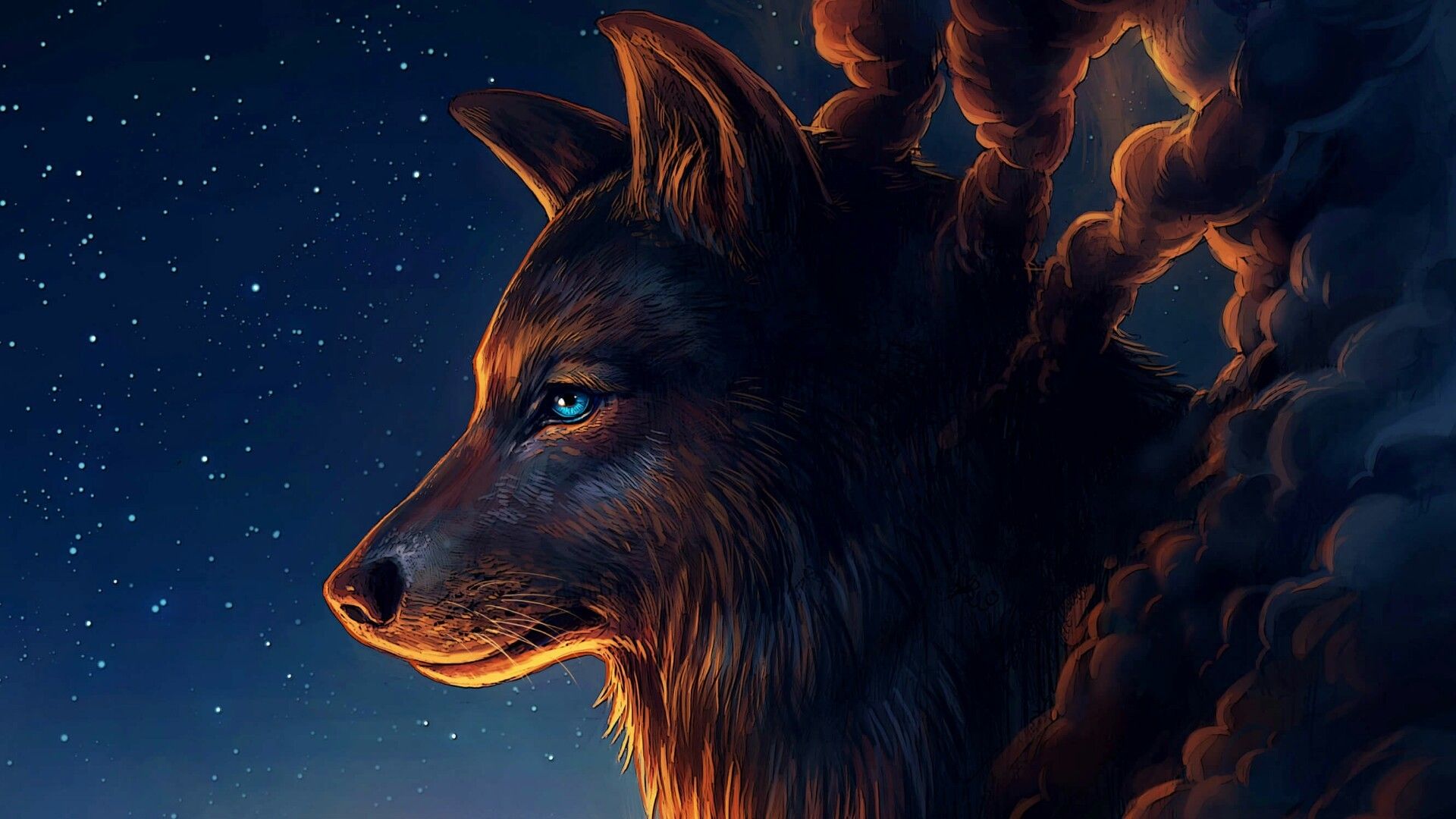 lupo artistico cielo notturno, 1920x1080 Full HD, PC Desktop