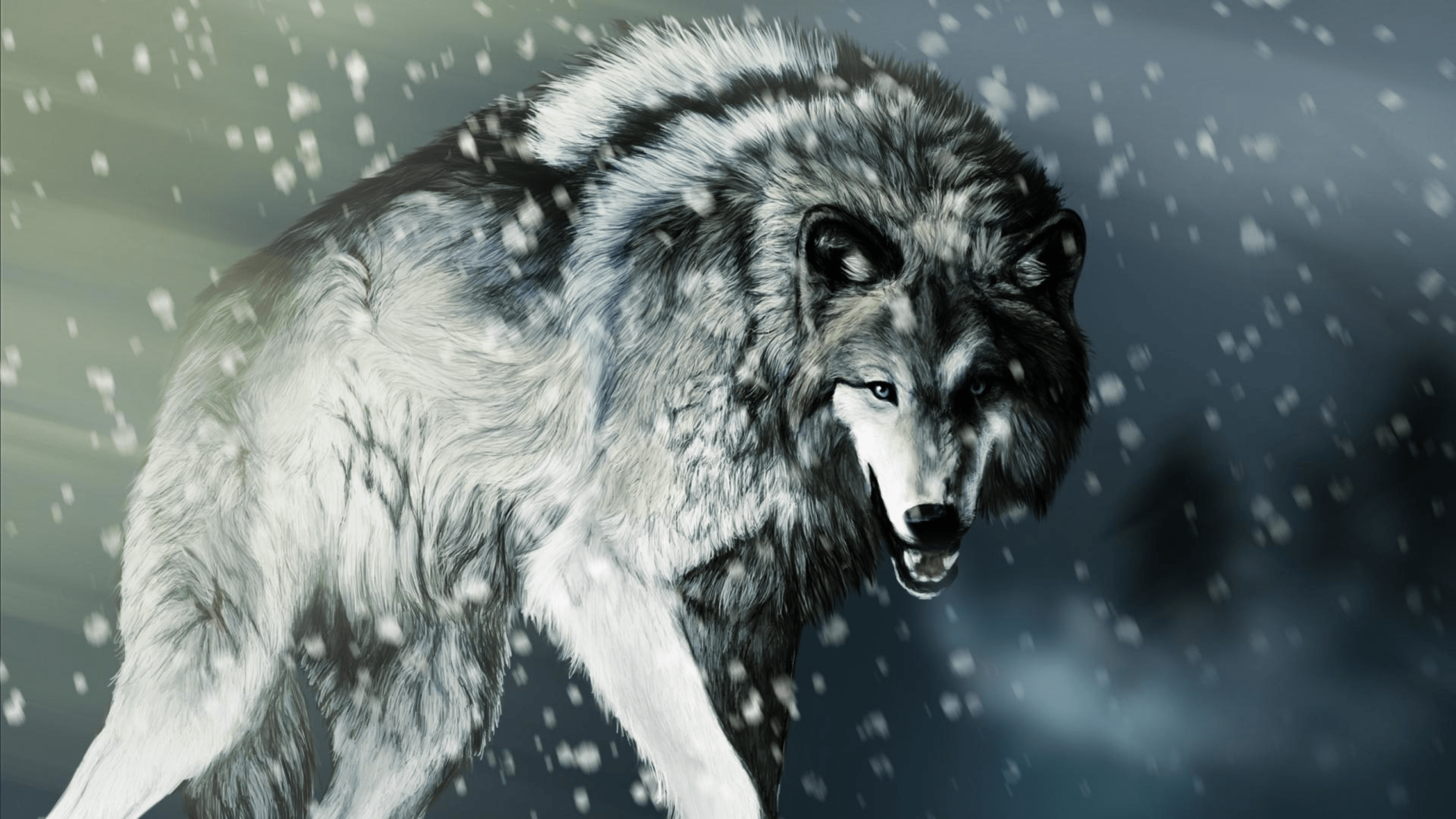 Lupo ringhiante nella neve, 3840x2160 UHD, Monitor Gaming