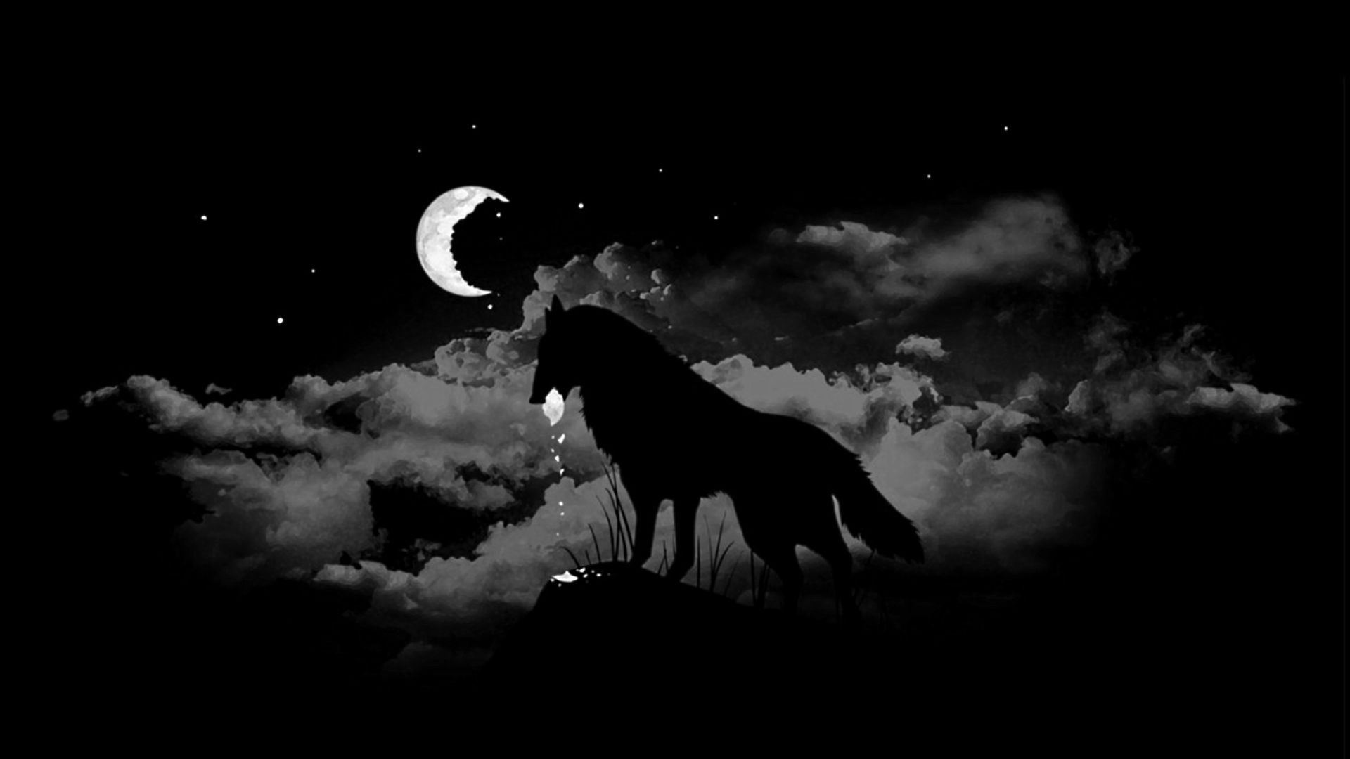 Lupo nero ululante alla luna, 1920x1080 Full HD, Monitor Gaming