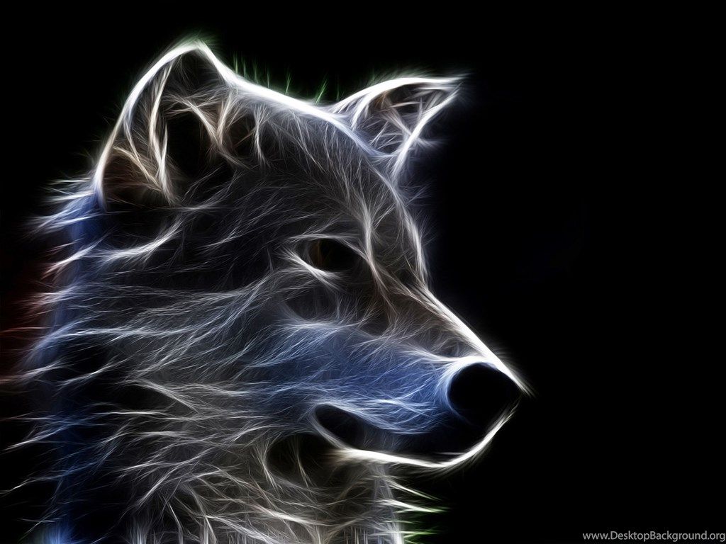 Lupo luminoso effetto fractal, 1024x768 HD, Monitor Gaming