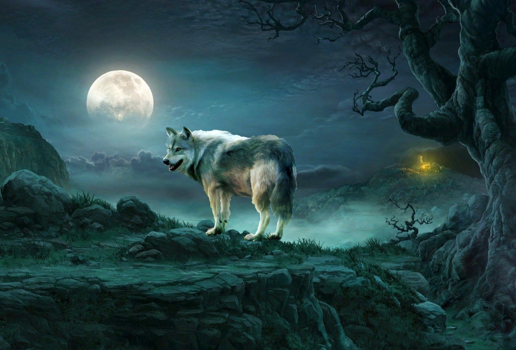 Lupo sotto la luna piena, 1725x1170 900p, PC