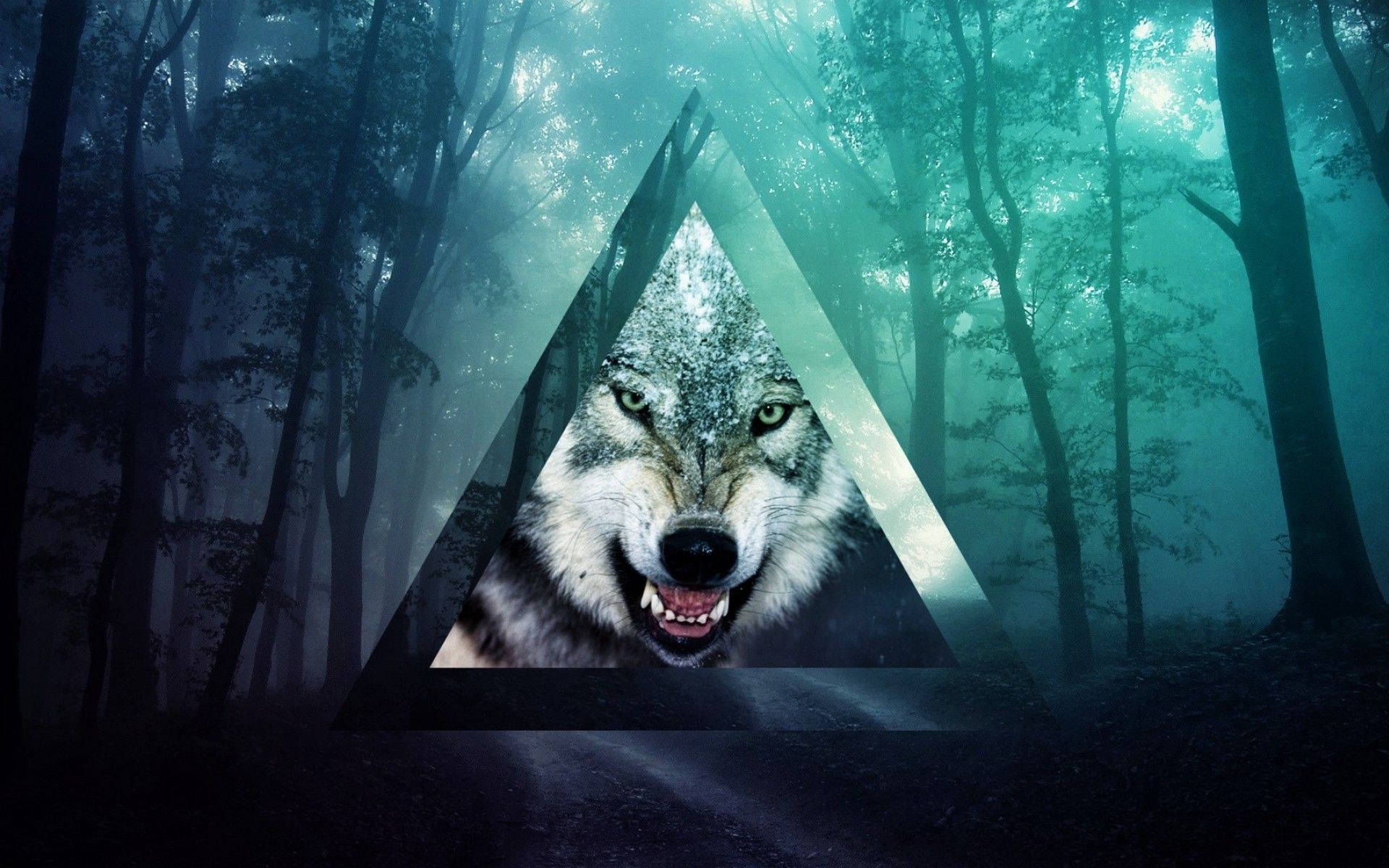 Lupo in triangolo, foresta nebbiosa, 1920x1200 Full HD+, Monitor Gaming