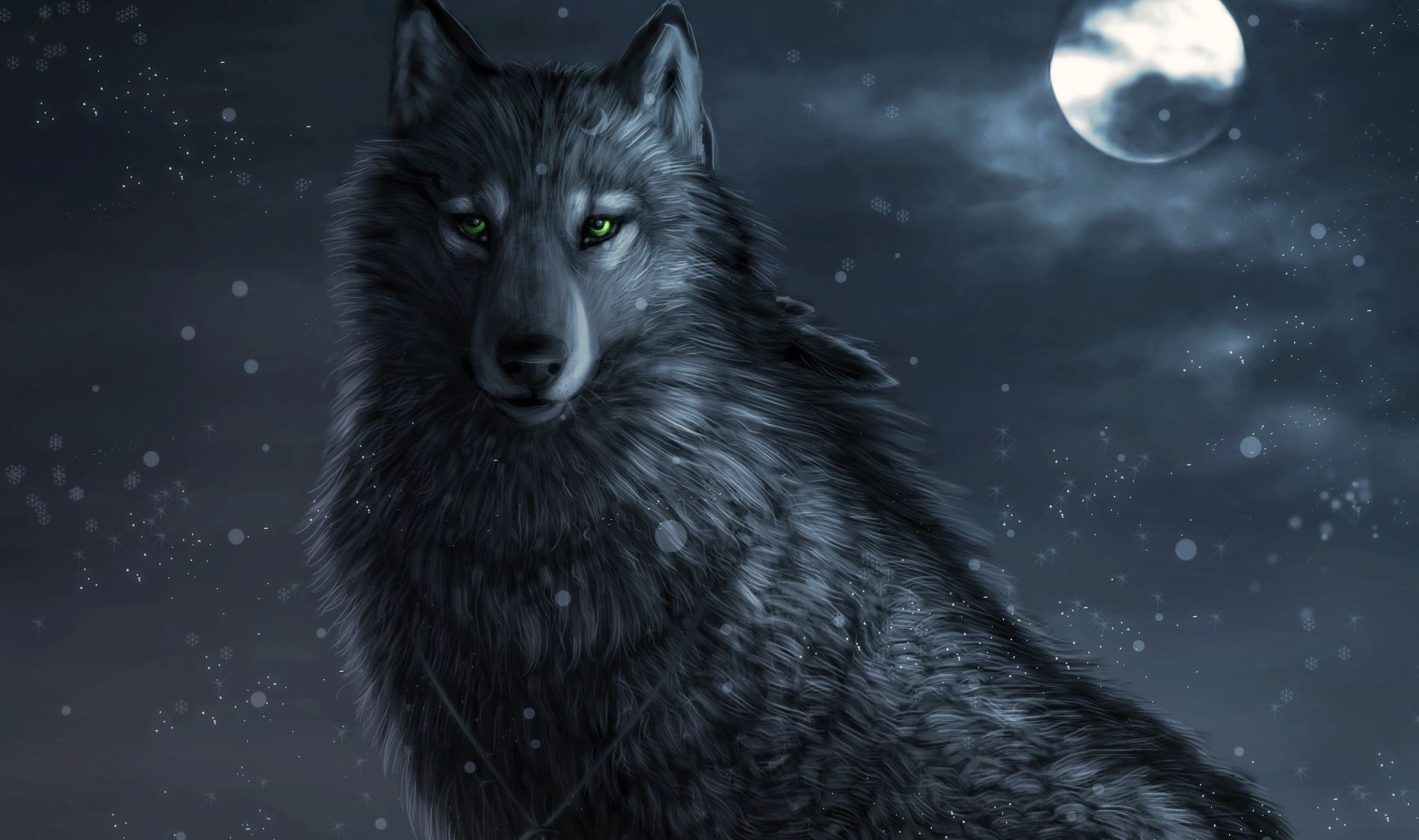 Lupo nero sotto luna, 1897x1123 HD, Desktop