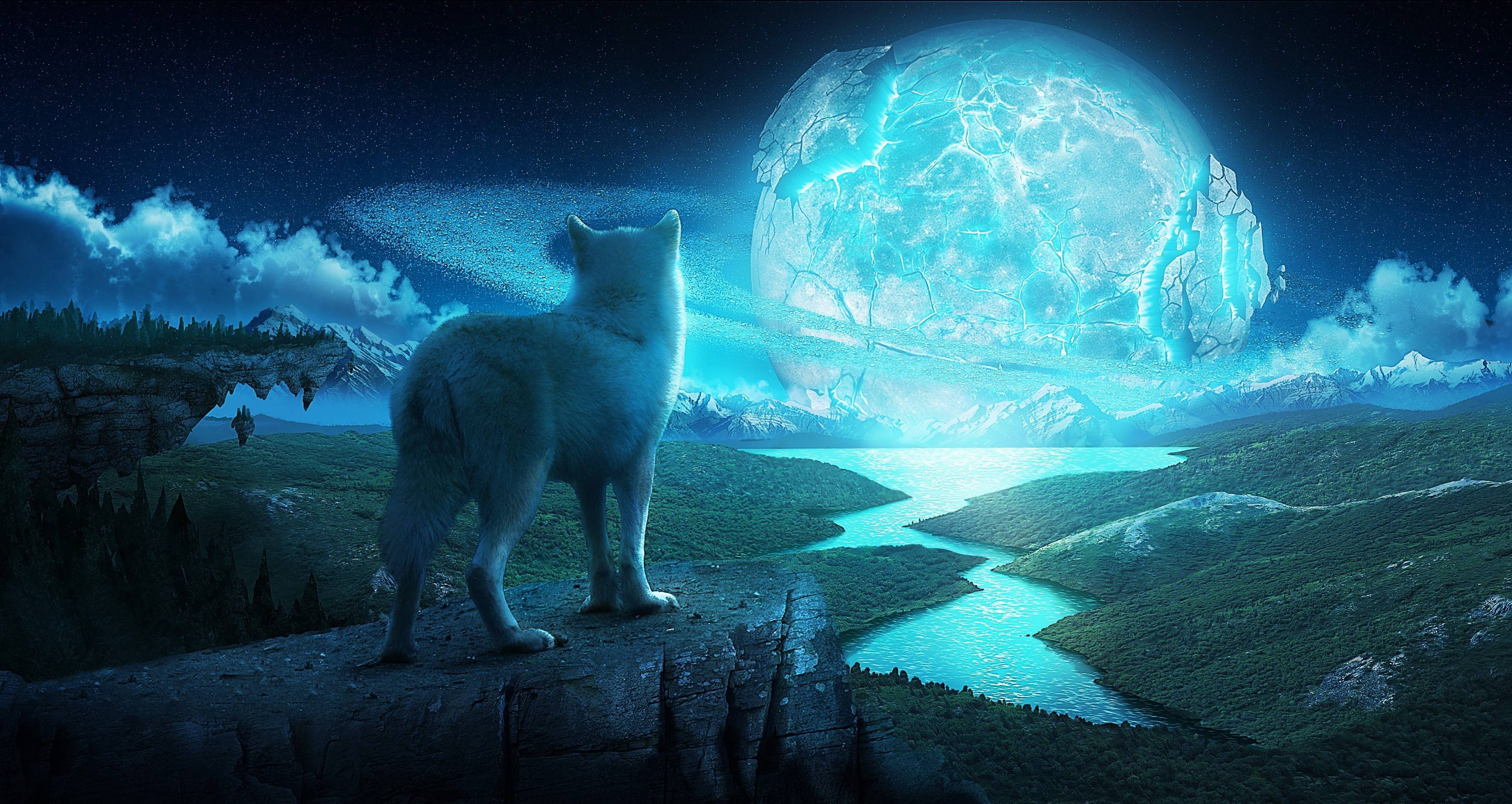 Lupo che ulula, luna gigante, 3293x1752 WQXGA, Desktop